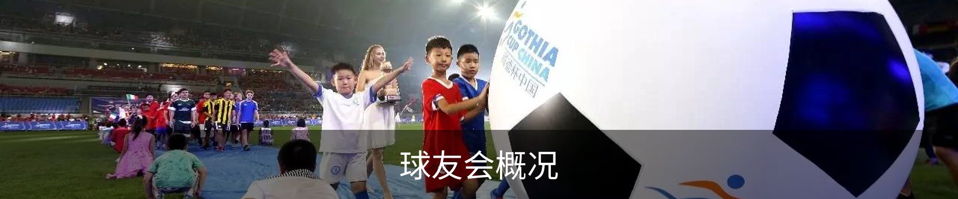球友会概况